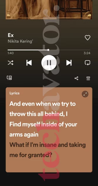 Spotify synced lyrics feature on mobile