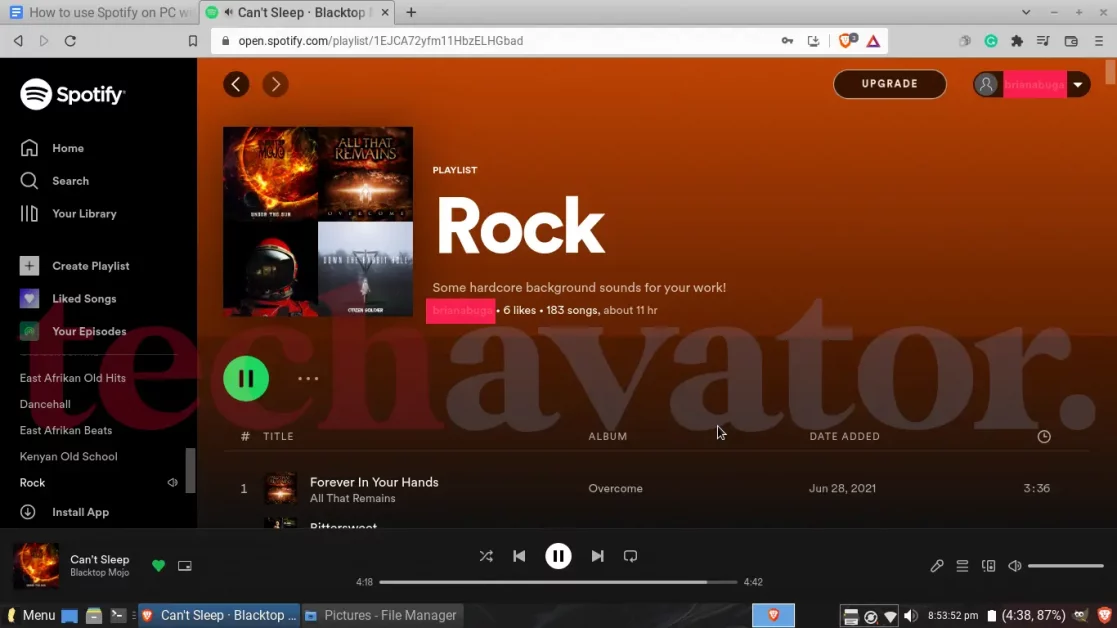 Spotify Web Player, Spotify No ads for free