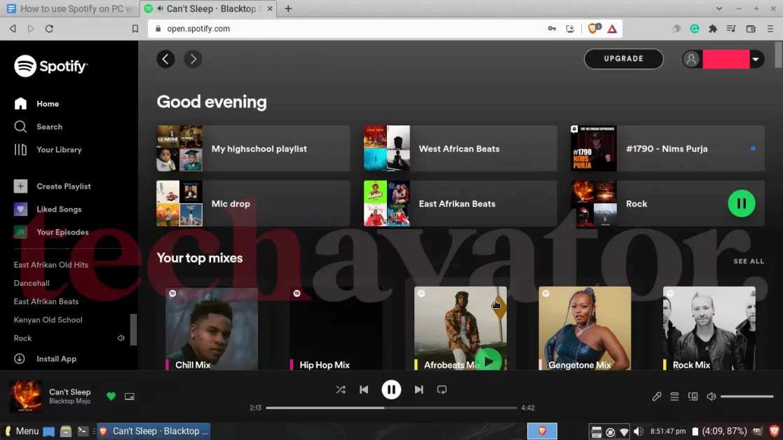 Spotify Web Player